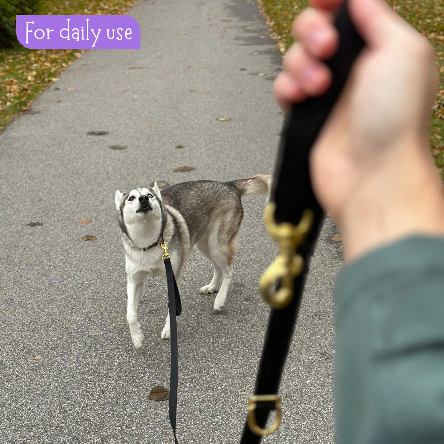Handmade hands-free leash
