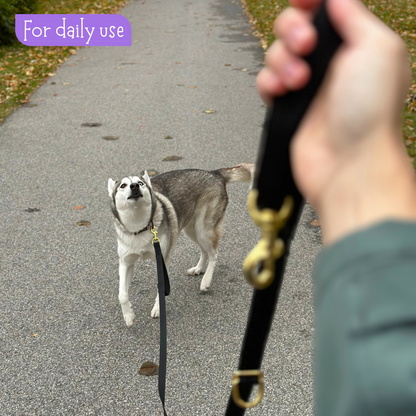 Handmade hands-free leash