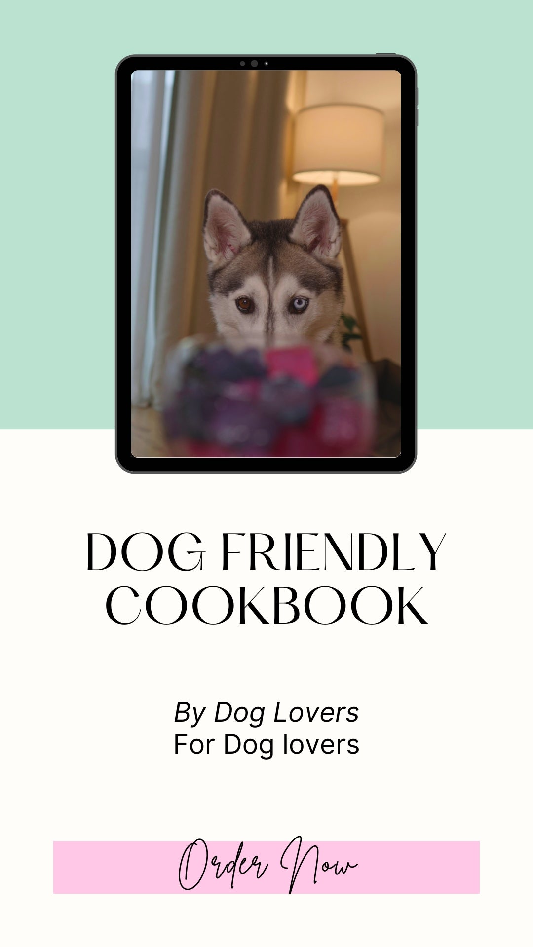 Homemade Dog Treat Recipes