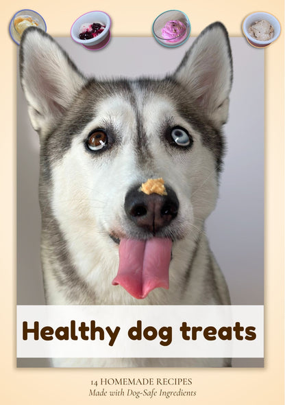 Homemade Dog Treat Recipes
