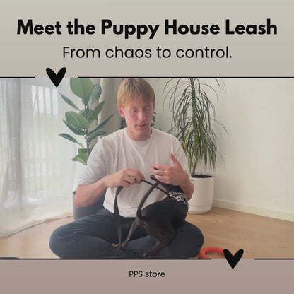 Puppy House Leash - Indoor Safety and Training Control