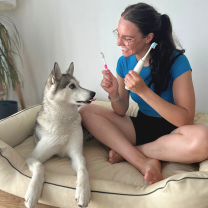 Puppy Essentials Checklist